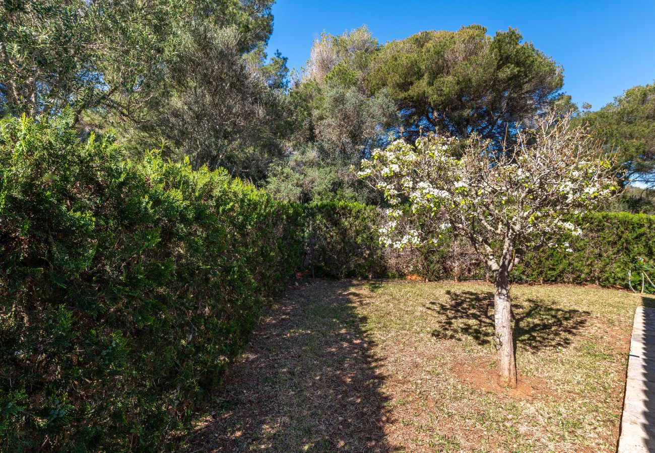 Chalet en Cala Murada - Villa Florentina by Mallorca House Rent