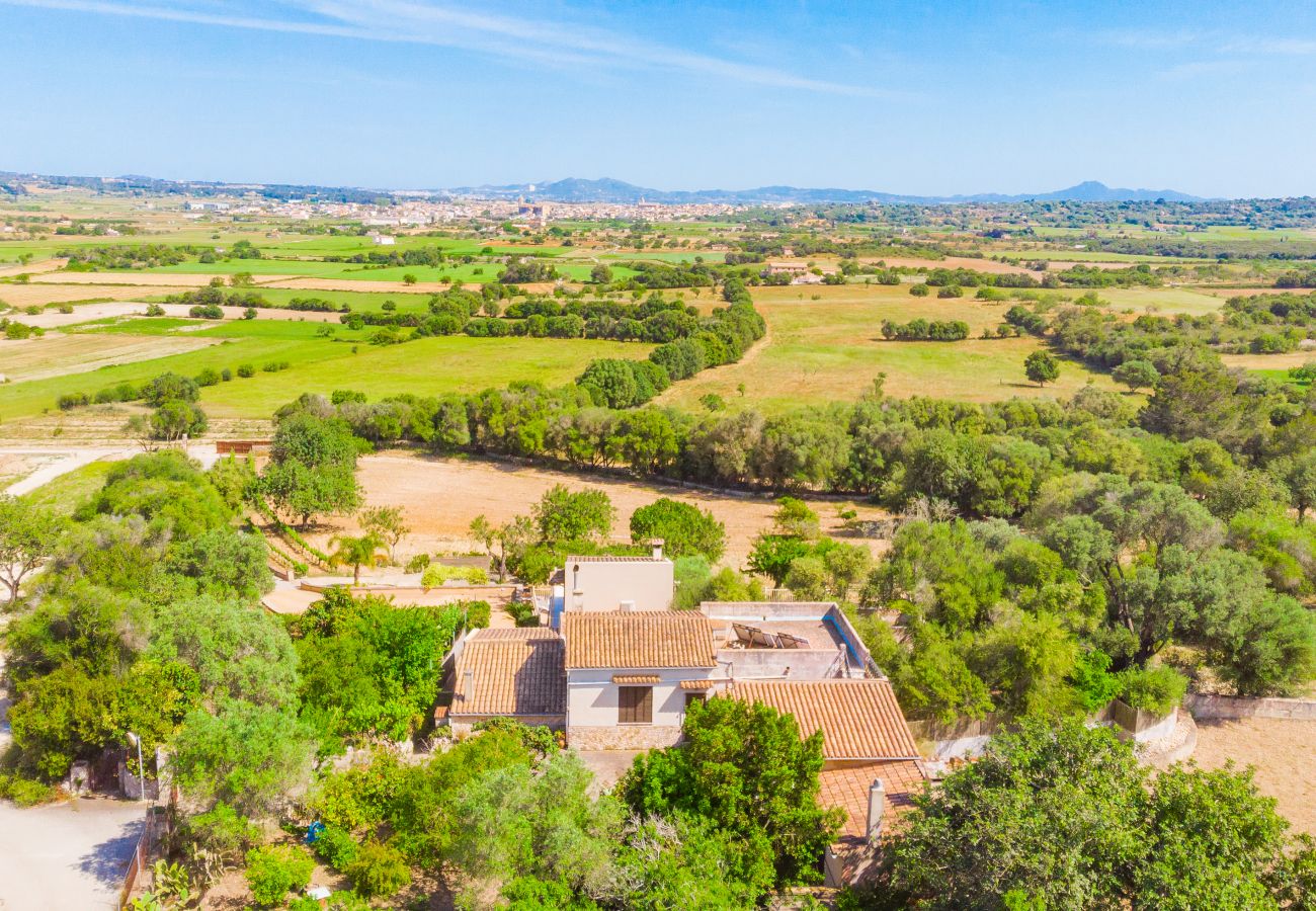 Finca en Petra - C346 Nines by Mallorca Villa Selection