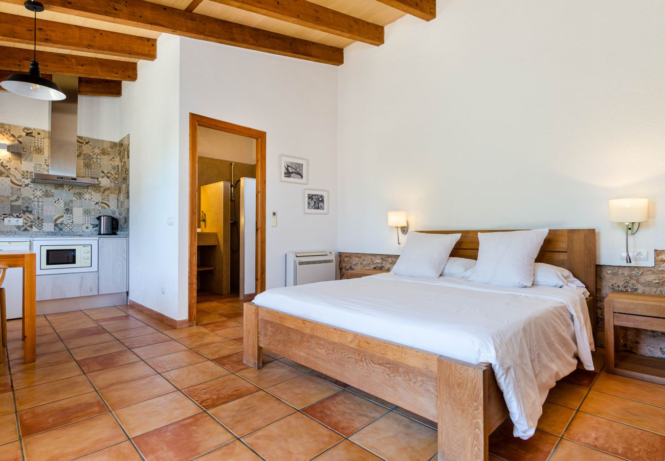 Estudio en Lloret de Vistalegre - YourHouse Agroturismo Can Porreti Es Colomer