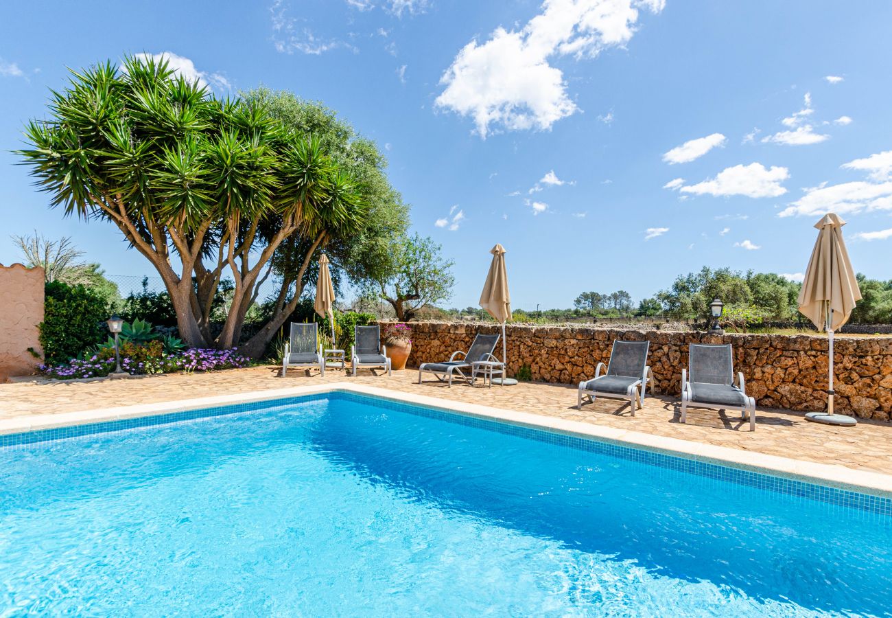 Apartamento en Lloret de Vistalegre - YourHouse Agroturismo Can Porreti La Figuera