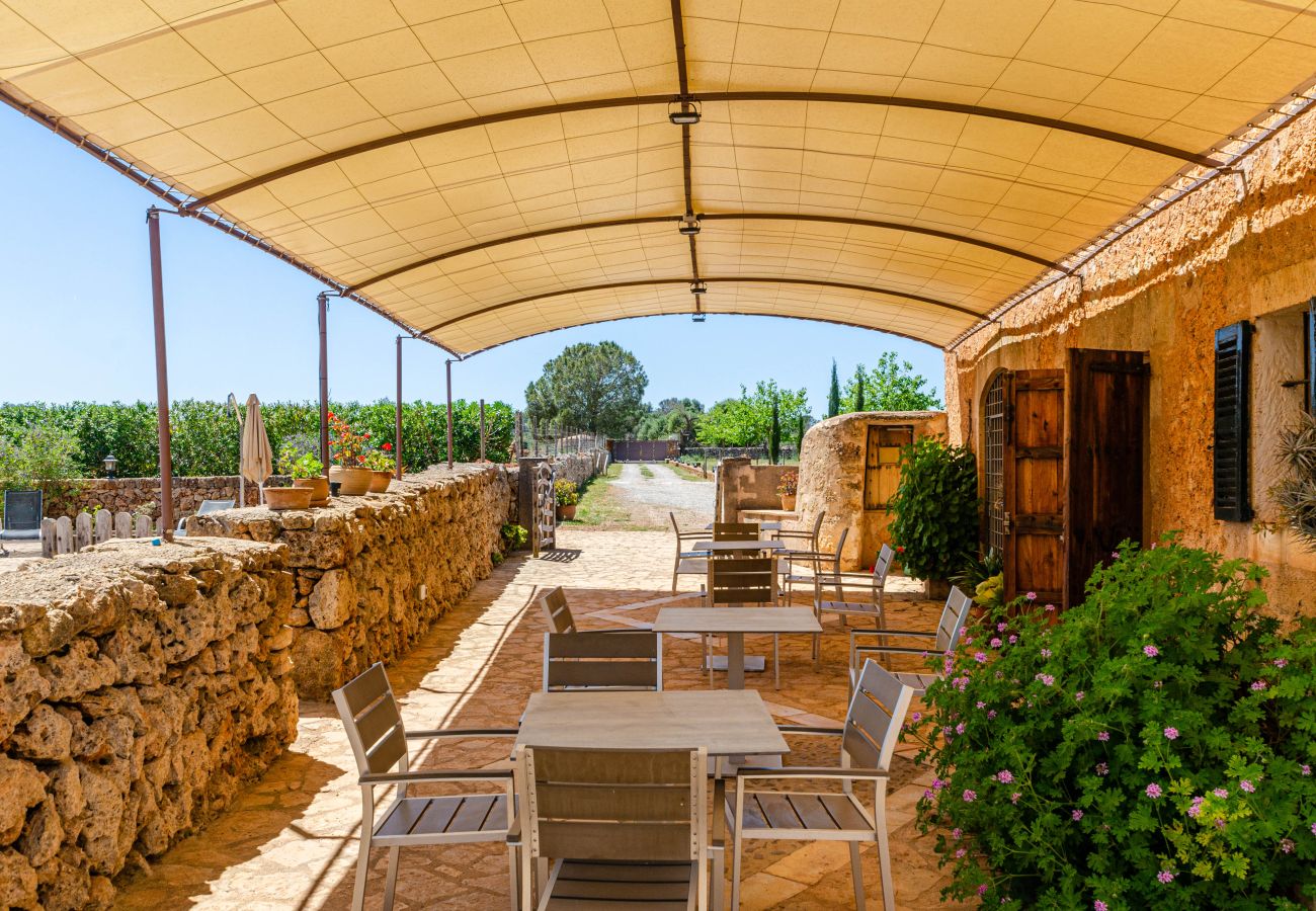Apartamento en Lloret de Vistalegre - YourHouse Agroturismo Can Porreti La Figuera