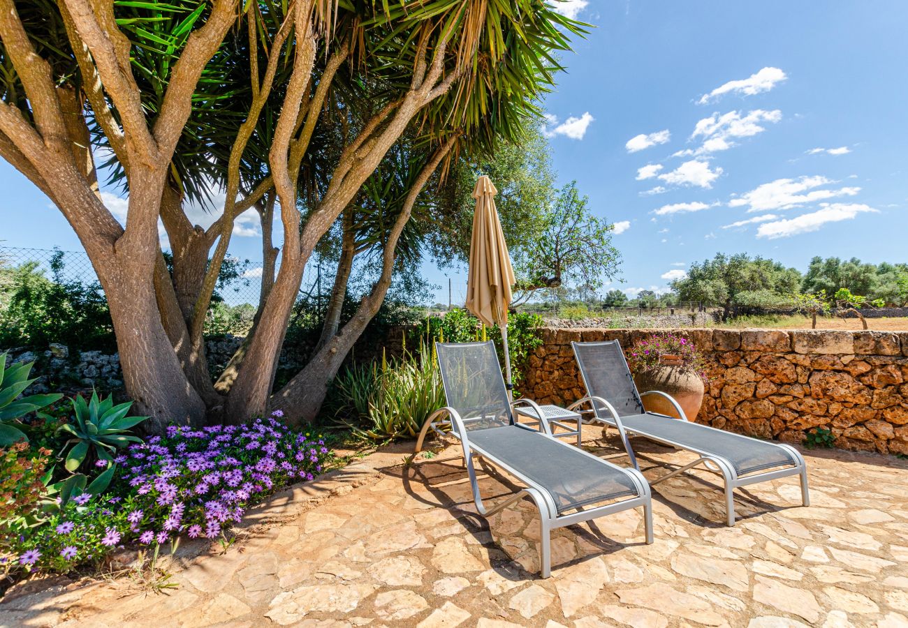 Alquiler por habitaciones en Lloret de Vistalegre - YourHouse Agroturismo Can Porreti Sa Rota
