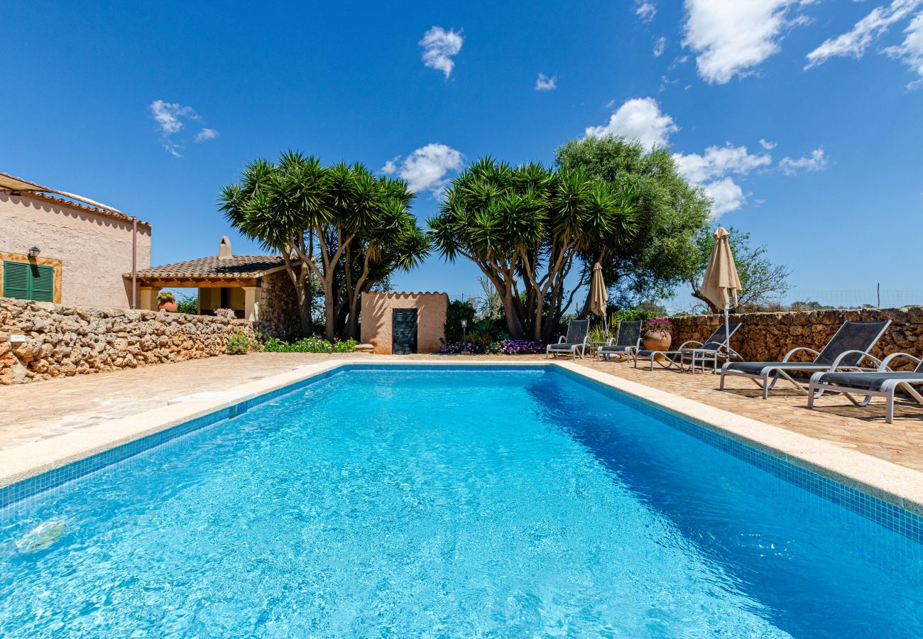 Alquiler por habitaciones en Lloret de Vistalegre - YourHouse Agroturismo Can Porreti Sa Rota