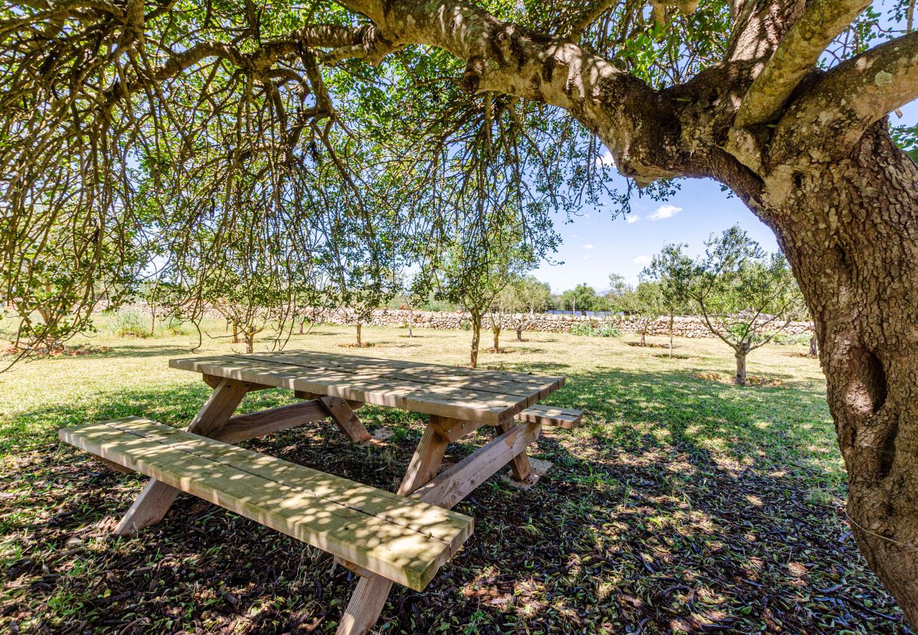 Alquiler por habitaciones en Lloret de Vistalegre - YourHouse Agroturismo Can Porreti Sa Rota