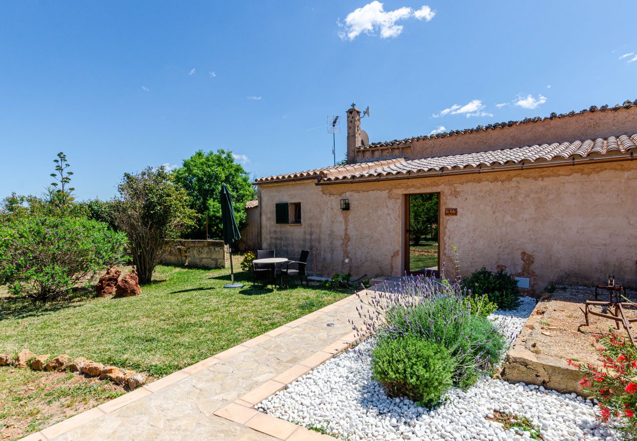 Alquiler por habitaciones en Lloret de Vistalegre - YourHouse Agroturismo Can Porreti Sa Rota