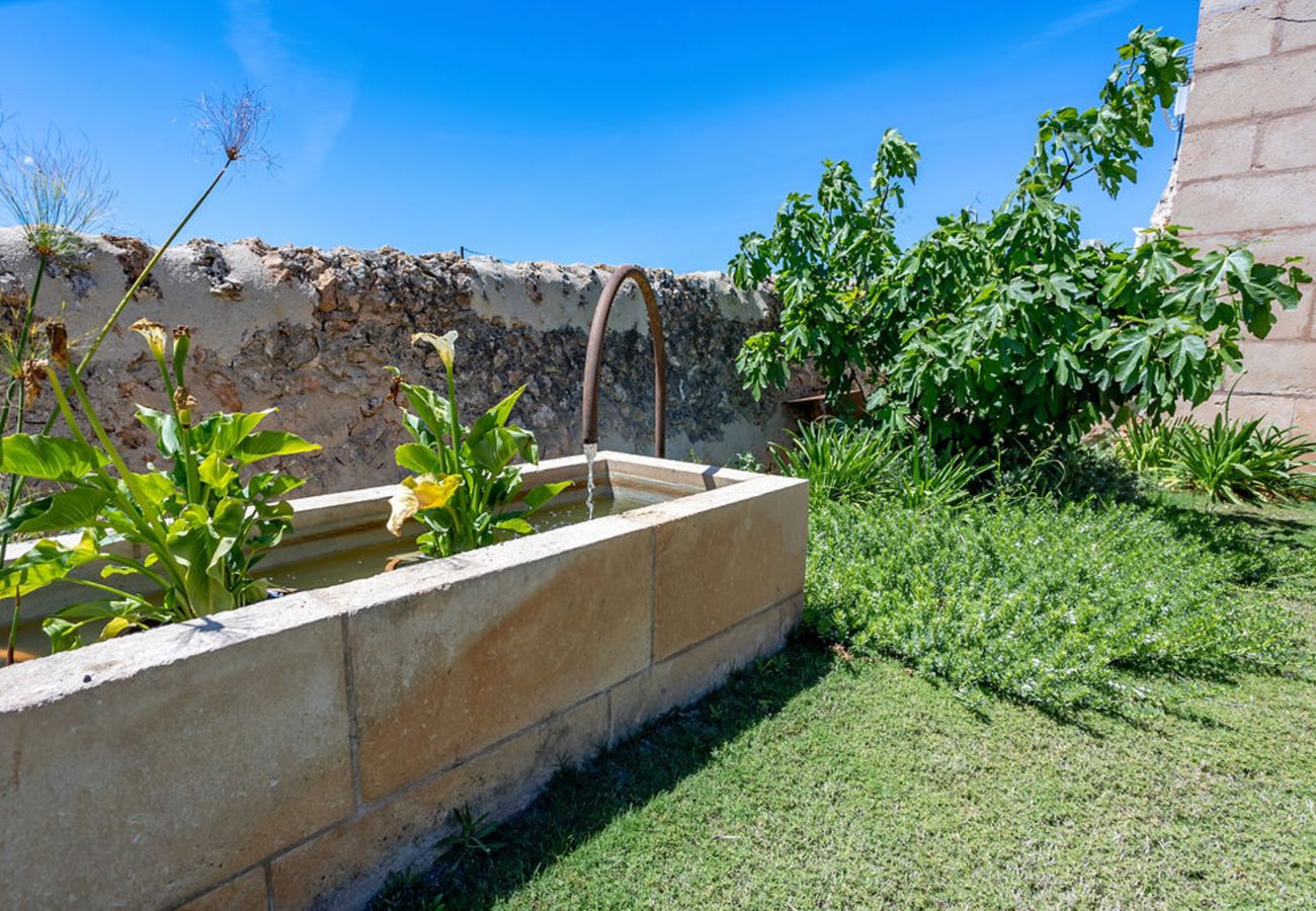 Villa en Campos - Son Llumira, Villa 5StarsHome Mallorca