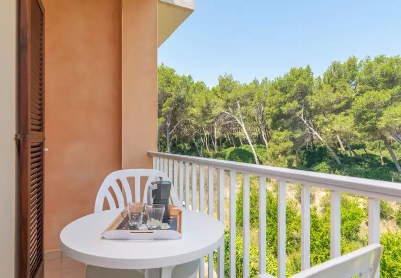 Apartamento en Ca´n Picafort - Apartment Son Baulo  Llimona