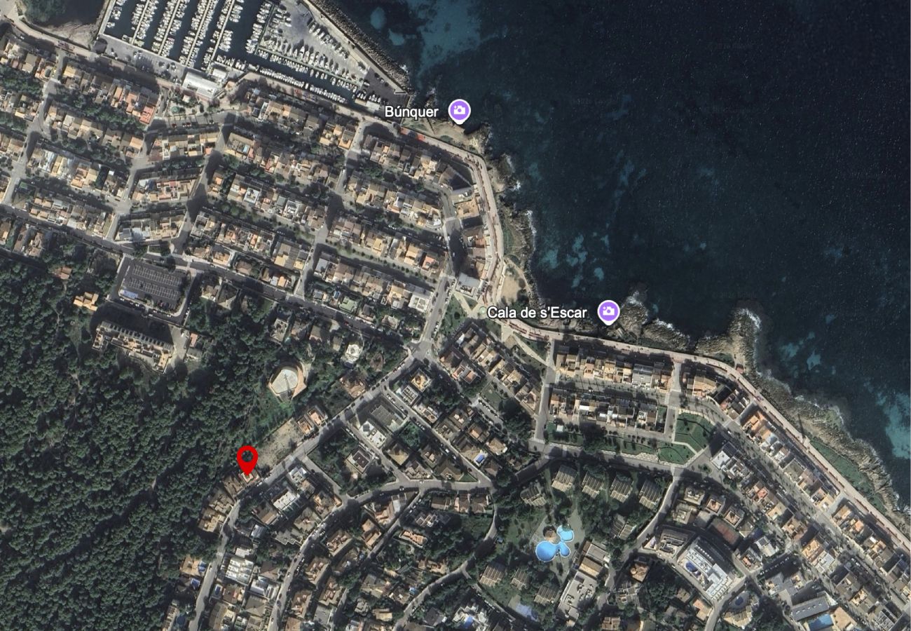 Apartamento en Can Picafort - Apartment Son Baulo Poma