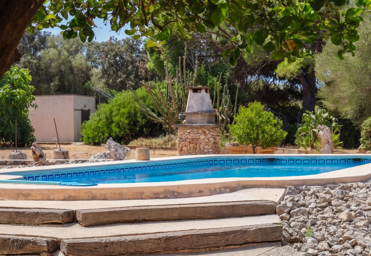 Casa rural en Muro - 291 Es Moia by Mallorca Charme