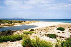 Platja_de_son_Real_2