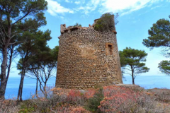 Sa-Pedrissa-Turm-auf-Mallorca