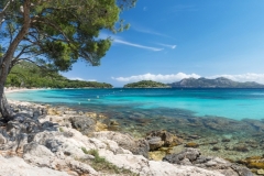 shutterstock_450977278