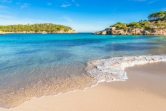 shutterstock_711475246