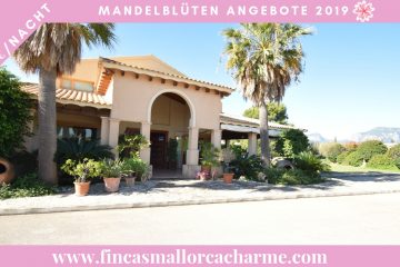 mallorca mandelblüte 2019