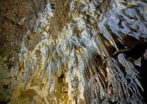 coves blanques