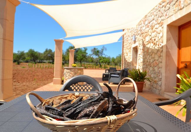 Villa in Llubi - Finca Sauri Llubi Villa in Llubi - Finca Sauri Llubi