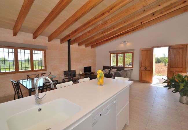 Villa in Llubi - Finca Sauri Llubi Villa in Llubi - Finca Sauri Llubi