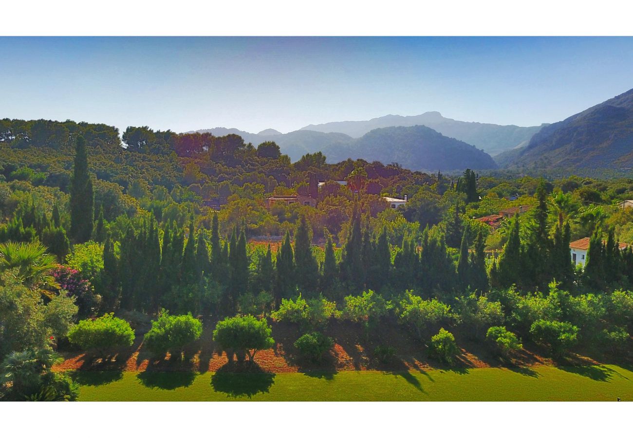 Finca in Pollensa / Pollença - CAL XINO LLOP ref. VP94