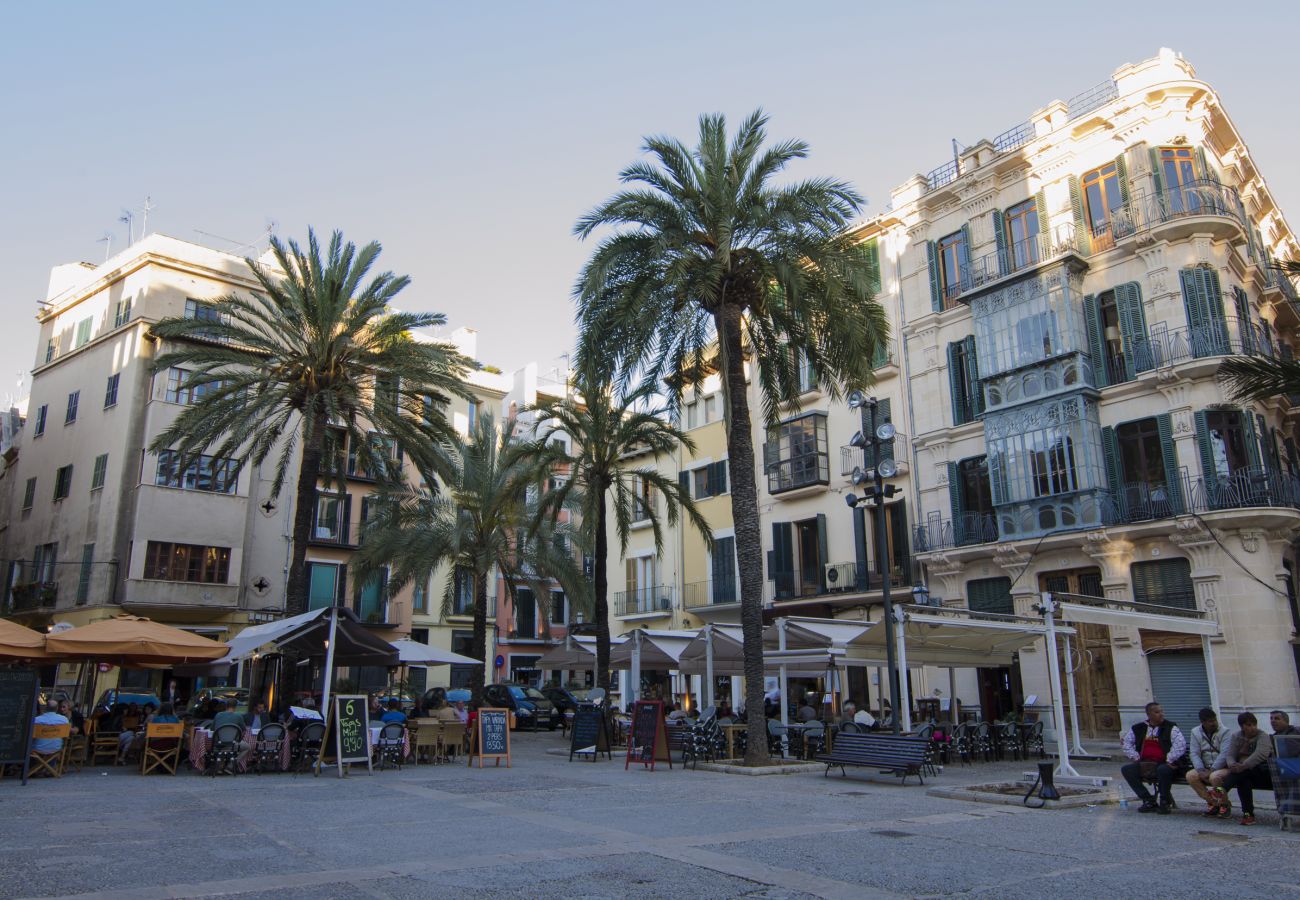 Ferienwohnung in Palma de Mallorca - Centro de Palma junto a la Catedral - La Lonja Hom