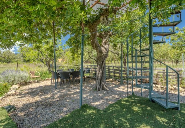 Finca in Selva - Sa Xabola, Finca 5StarsHome Mallorca Finca in Selva - Sa Xabola, Finca 5StarsHome Mallorca