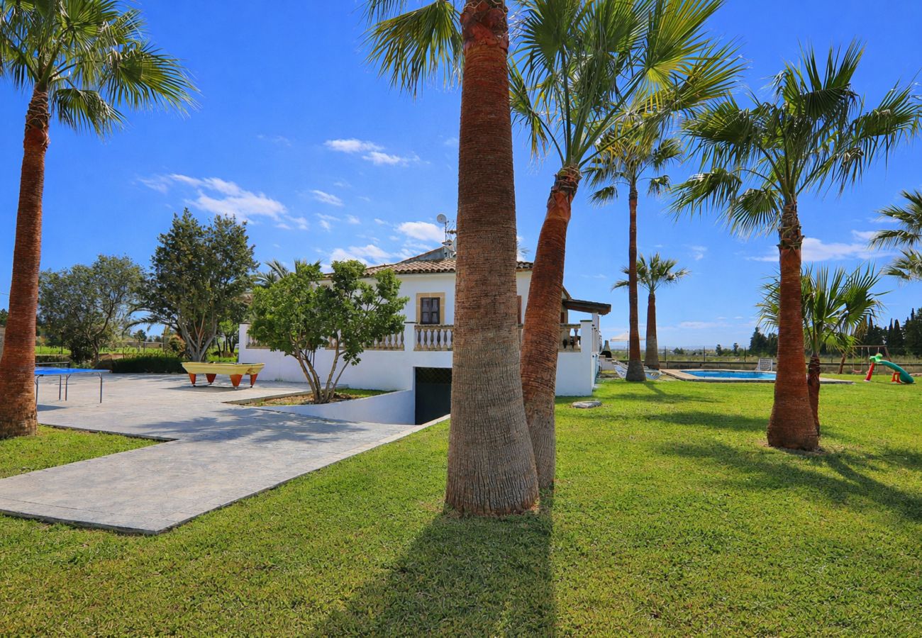 Finca in Sa Pobla - 040 Villa Can Mussol ETV/1463 by Mallorca Charme