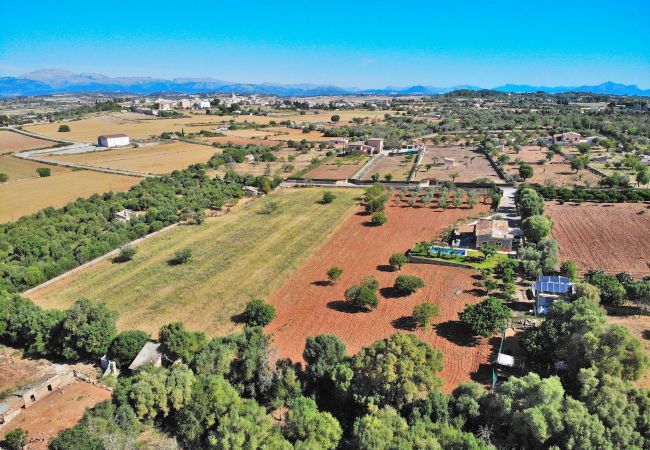 Finca in Santa Margalida - 054 Finca Es Bosquerró ETV/5362 by Mallorca Charme Finca in Santa Margalida - 054 Finca Es Bosquerró ETV/5362 by Mallorca Charme