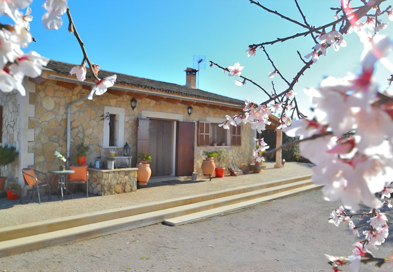 Finca in Ariany - 078 Finca Sa Rota VT/1953 by Mallorca Charme
