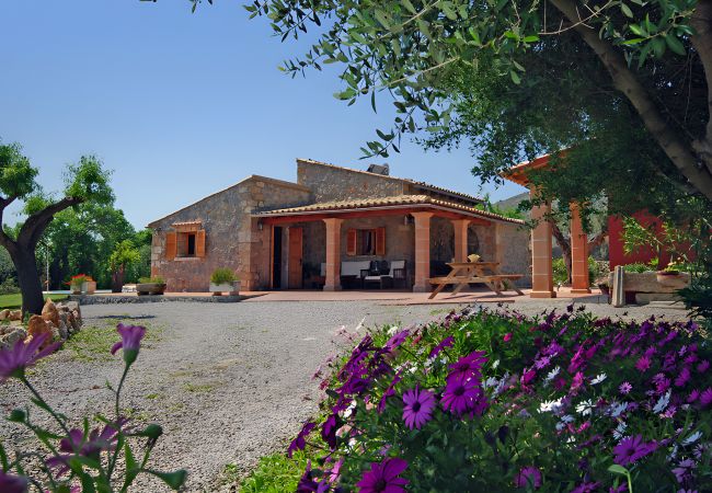 Finca in Alcudia - Finca Can Roig 113 by Mallorca Charme