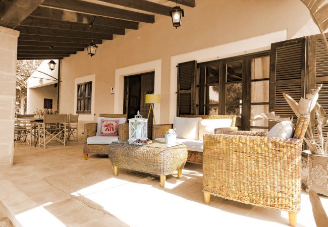 Ab 100€ pro Tag können Sie Ihre Villa auf Mallorca mieten Ab 100€ pro Tag können Sie Ihre Villa auf Mallorca mieten