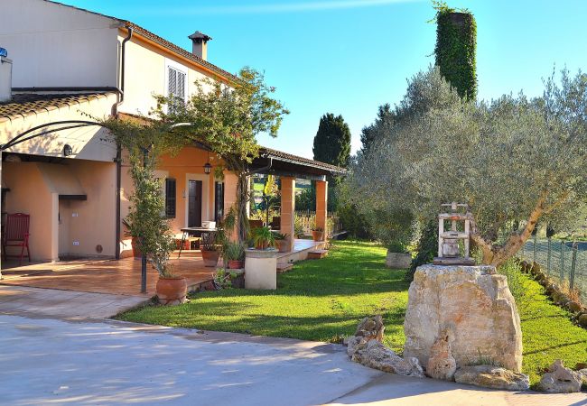 Ab 100€ pro Tag können Sie Ihre Villa auf Mallorca mieten Ab 100€ pro Tag können Sie Ihre Villa auf Mallorca mieten