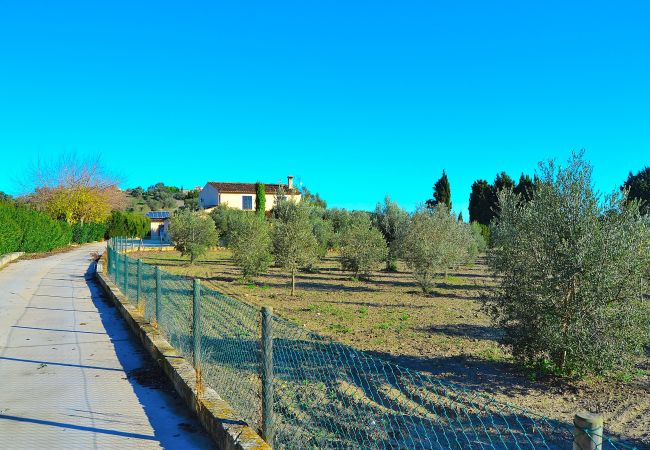 Ab 100€ pro Tag können Sie Ihre Finca auf Mallorca von privat mieten Ab 100€ pro Tag können Sie Ihre Finca auf Mallorca von privat mieten