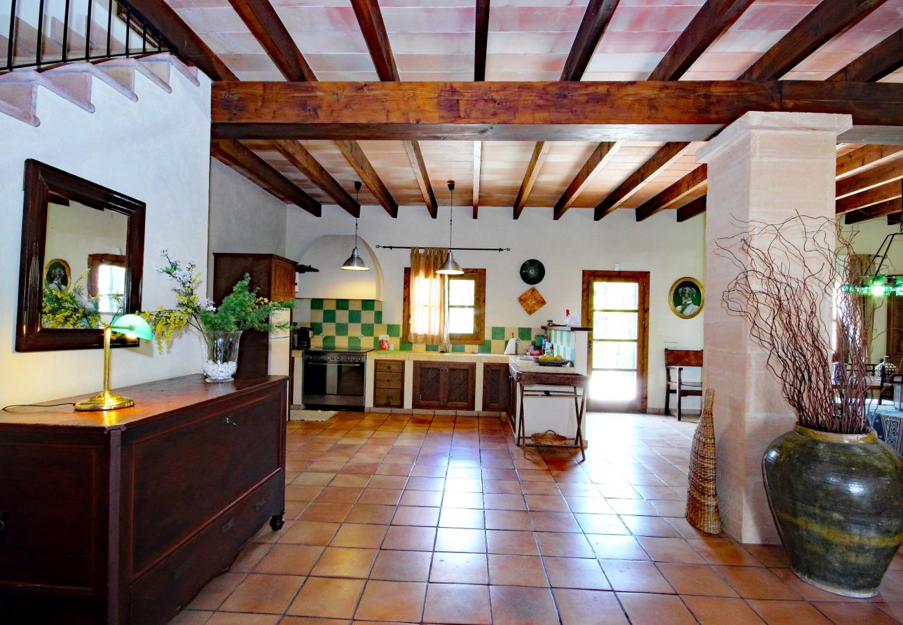 Ab 100€ pro Tag können Sie Ihre Villa auf Mallorca mieten Ab 100€ pro Tag können Sie Ihre Villa auf Mallorca mieten