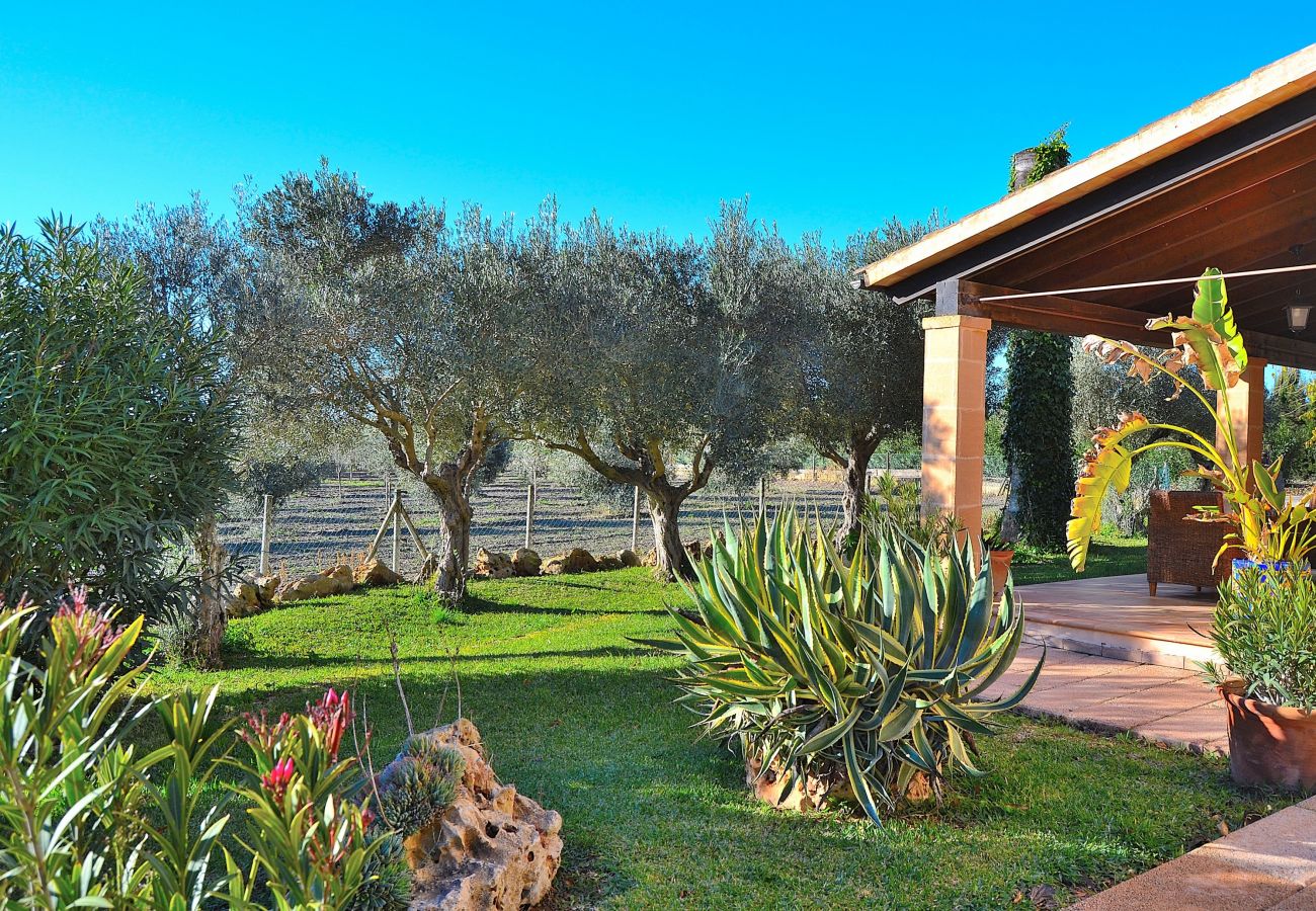 Finca in Santa Margalida - Castellet Finca Santa Margalida 120 Finca in Santa Margalida - Castellet Finca Santa Margalida 120