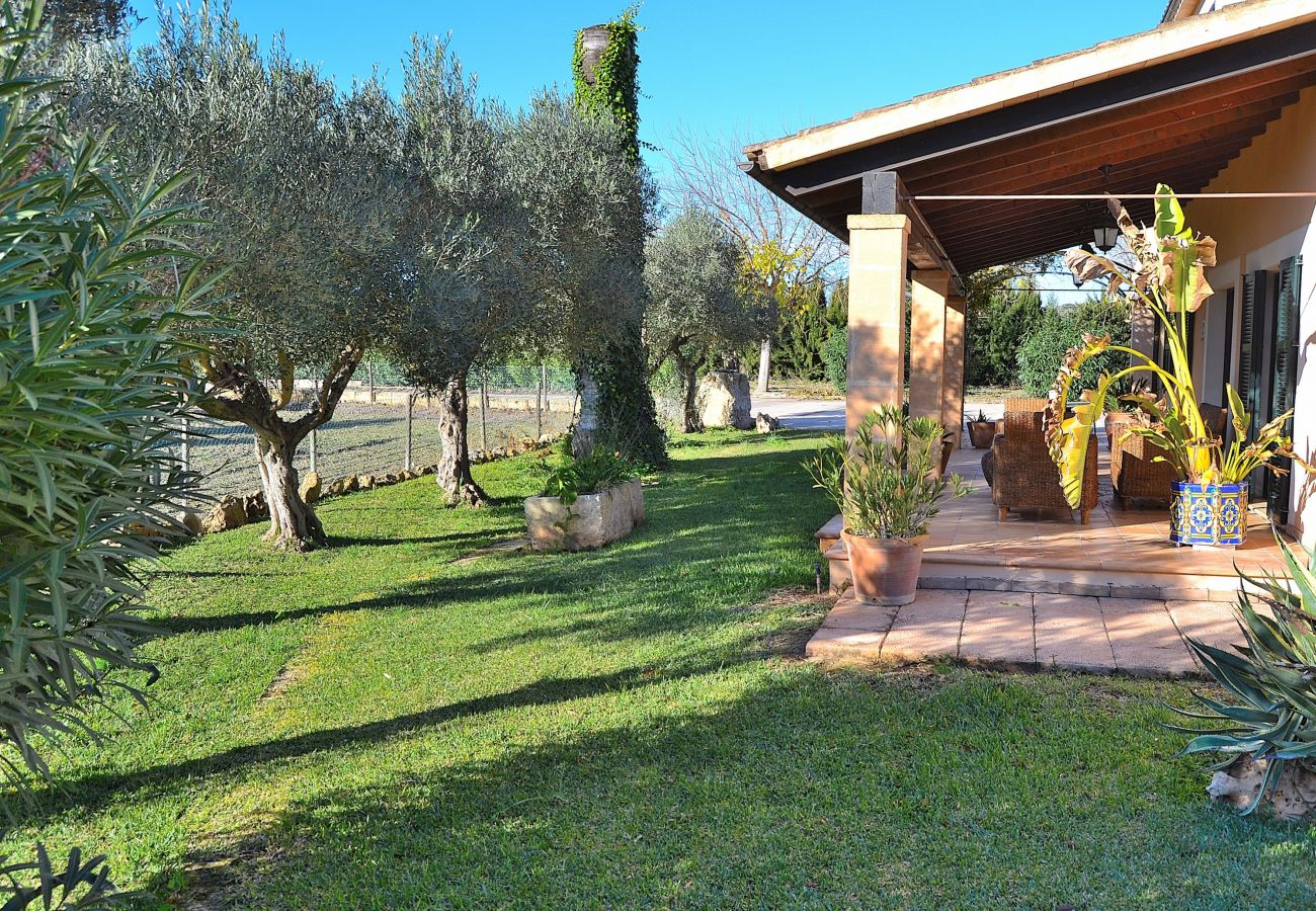 Finca in Santa Margalida - Castellet Finca Santa Margalida 120 Finca in Santa Margalida - Castellet Finca Santa Margalida 120