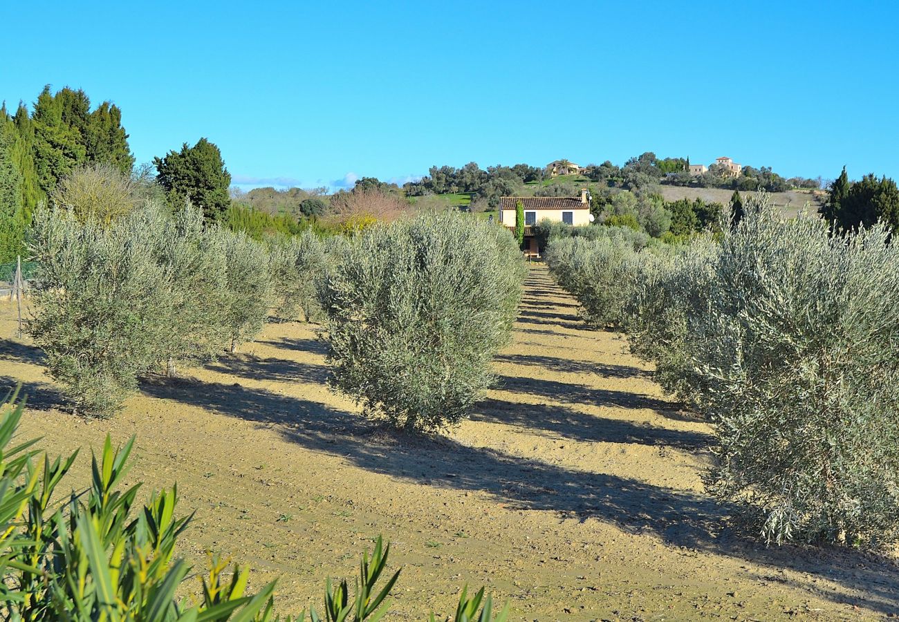 Finca in Santa Margalida - Castellet Finca Santa Margalida 120 Finca in Santa Margalida - Castellet Finca Santa Margalida 120