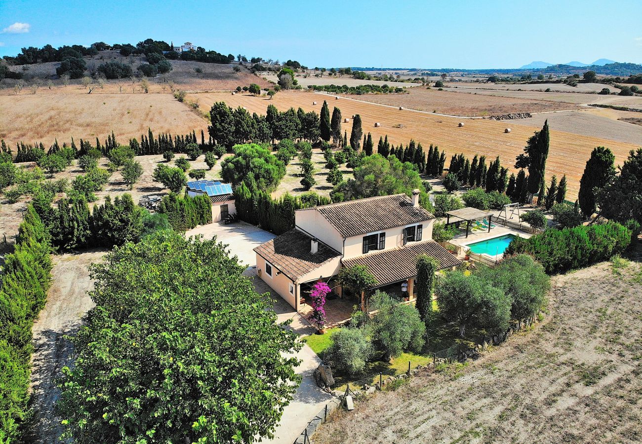 Finca in Santa Margalida - Castellet Finca Santa Margalida 120 Finca in Santa Margalida - Castellet Finca Santa Margalida 120