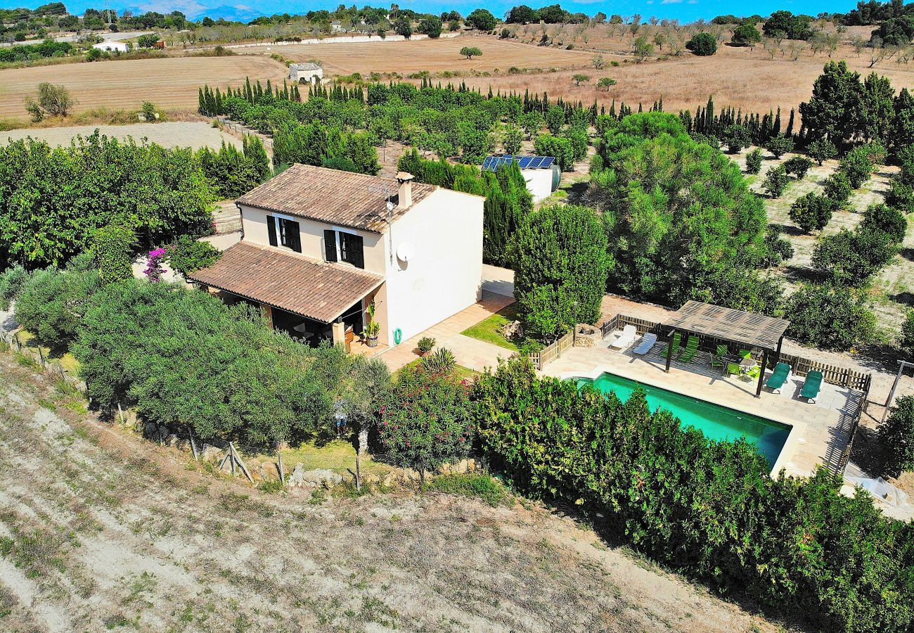 Finca in Santa Margalida - Castellet Finca Santa Margalida 120 Finca in Santa Margalida - Castellet Finca Santa Margalida 120