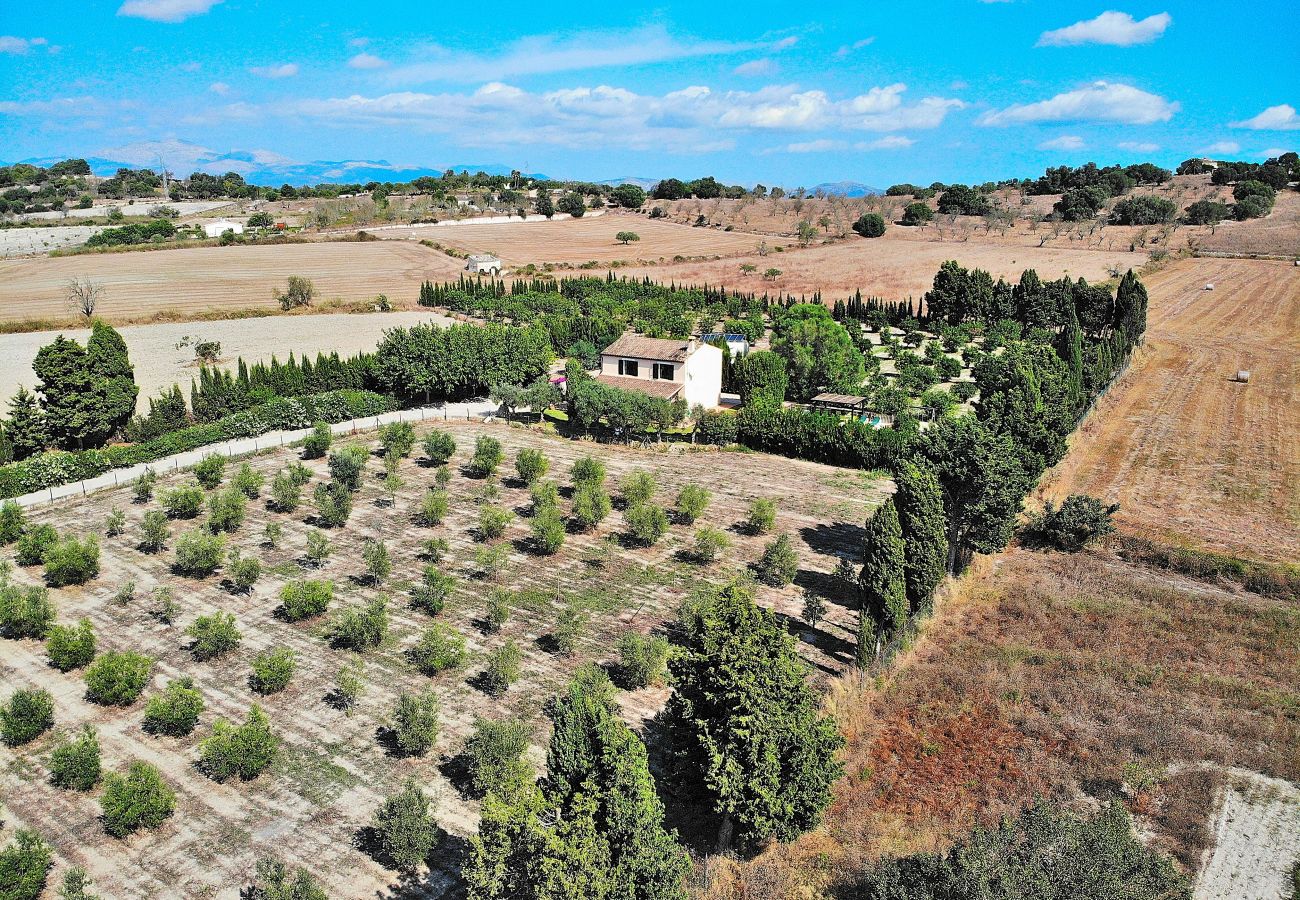 Finca in Santa Margalida - Castellet Finca Santa Margalida 120 Finca in Santa Margalida - Castellet Finca Santa Margalida 120