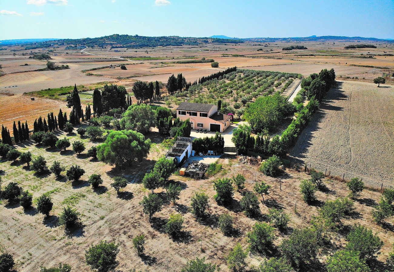 Finca in Santa Margalida - Castellet Finca Santa Margalida 120 Finca in Santa Margalida - Castellet Finca Santa Margalida 120