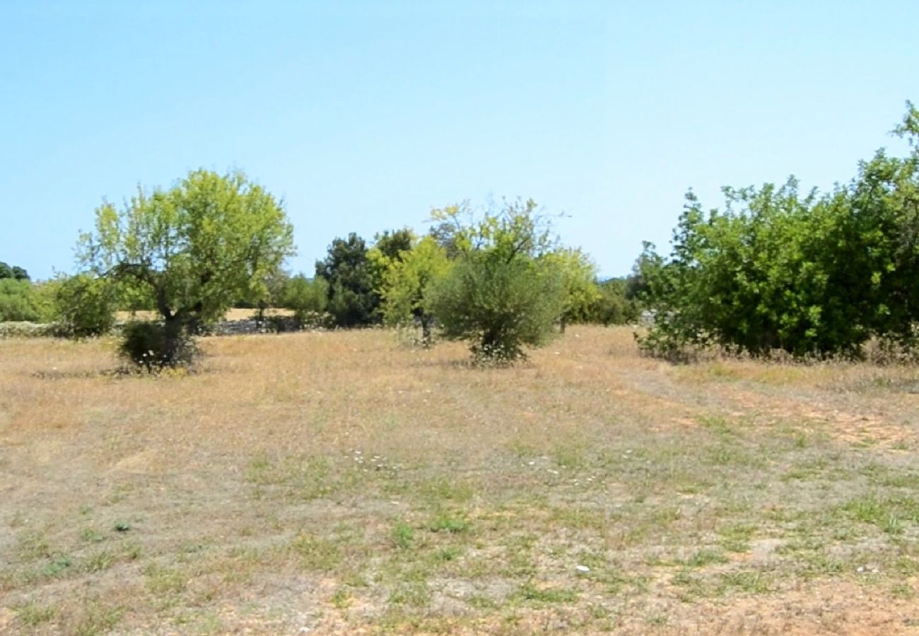 Finca in Llubi - 137 Finca Son Bernat ETV/9442 by Mallorca Charme