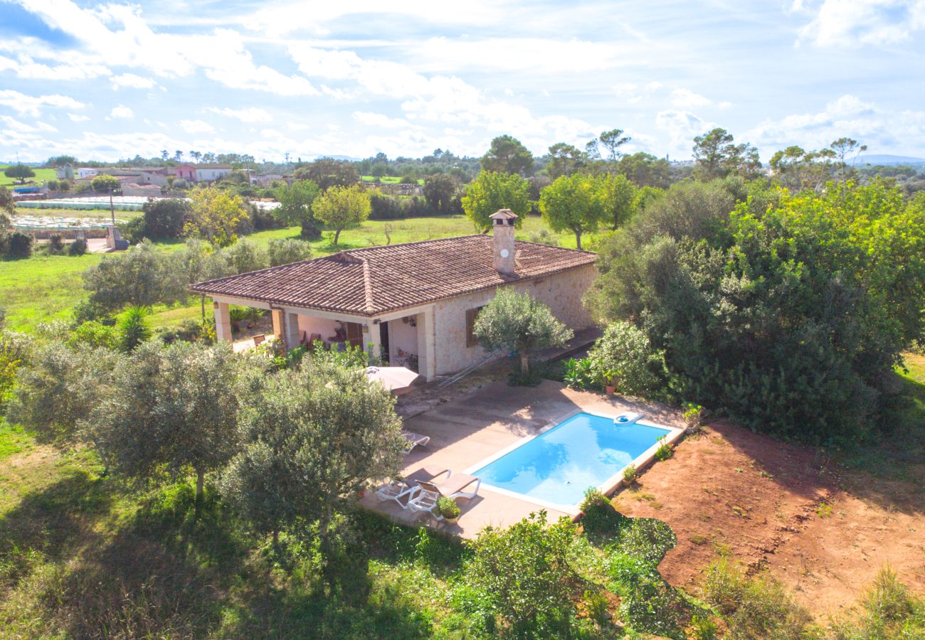 Finca in Llubi - 137 Finca Son Bernat ETV/9442 by Mallorca Charme