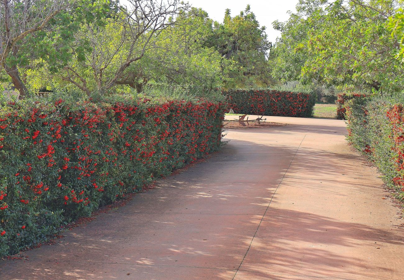 Finca in Binissalem - 151 Villa Es Triquet ET/3366 by Mallorca Charme