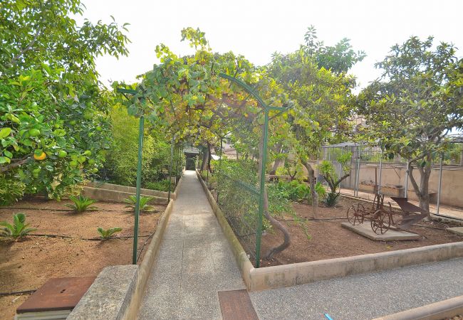 Ferienhaus in Muro - 187 Villa Can Bisbe ETV/8522 by Mallorca Charme Ferienhaus in Muro - 187 Villa Can Bisbe ETV/8522 by Mallorca Charme