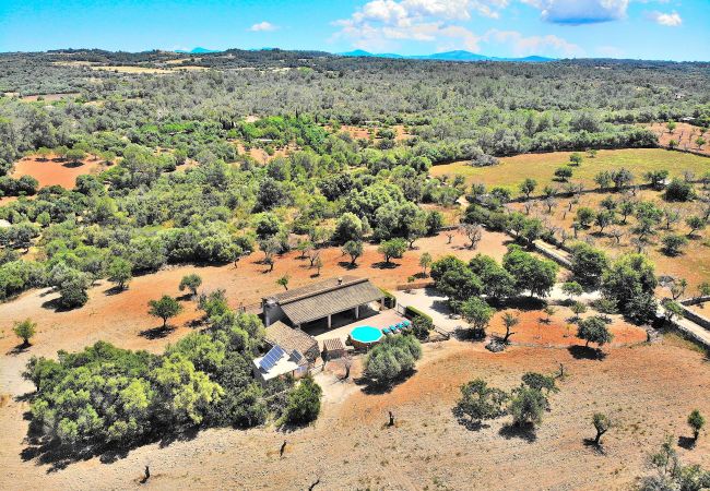 Finca in Llubi - 193 Finca Son Rossignol ETV/4966 by Mallorca Charm Finca in Llubi - 193 Finca Son Rossignol ETV/4966 by Mallorca Charm