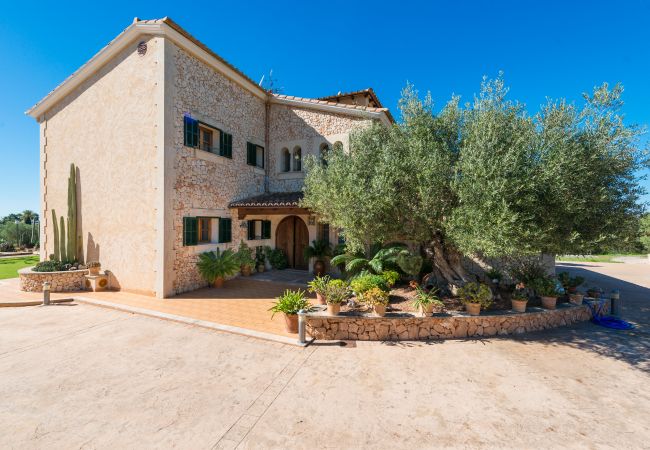 Finca in Palma de Mallorca - E096 Can Valero by Mallorca Villa Selection Finca in Palma de Mallorca - E096 Can Valero by Mallorca Villa Selection