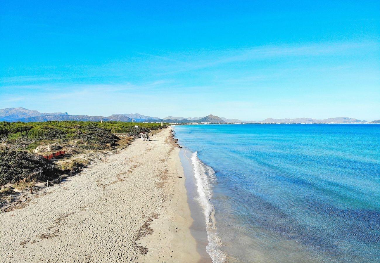 Ferienwohnung in Port d´Alcudia - 134 Apartamento Pins-Tugores ETVPL/13155 by Mallor