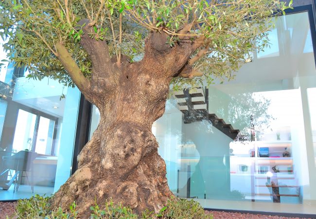 Ferienhaus in Buger - 049 Villa Montblau ETV/8205 by Mallorca Charme Ferienhaus in Buger - 049 Villa Montblau ETV/8205 by Mallorca Charme