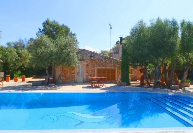 groß Schwimmbad , Finca auf Mallorca