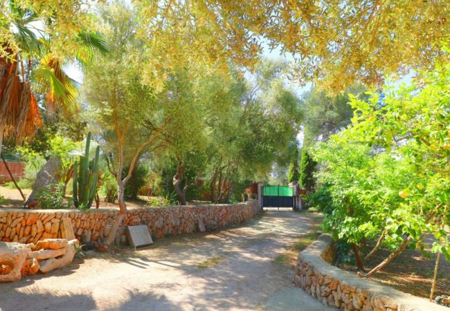 Finca in Campos - Finca Sa Costa 411 by Mallorca Charme