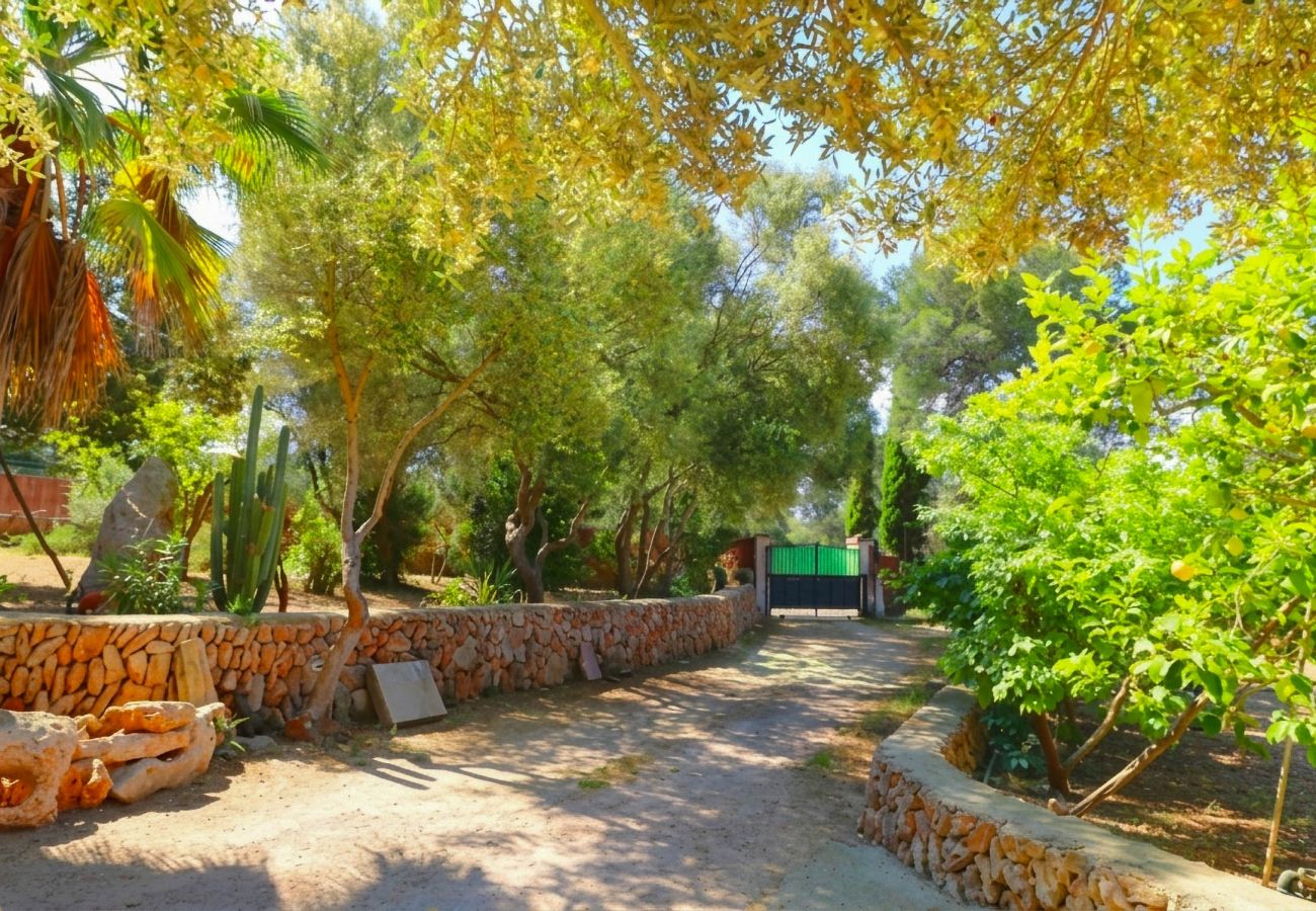 Finca in Campos - 411 Finca Sa Costa ETV1976 by Mallorca Charme